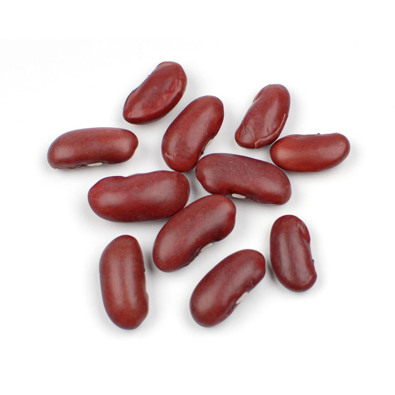 Kidney Beans Dark Red